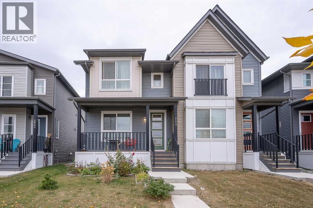 229 Belmont Street SW photo 3