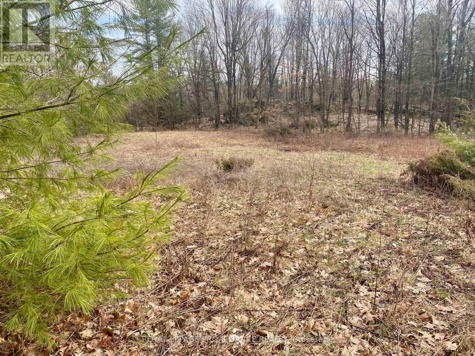 614 THOUSANDS ISLANDS PARKWAY photo 5