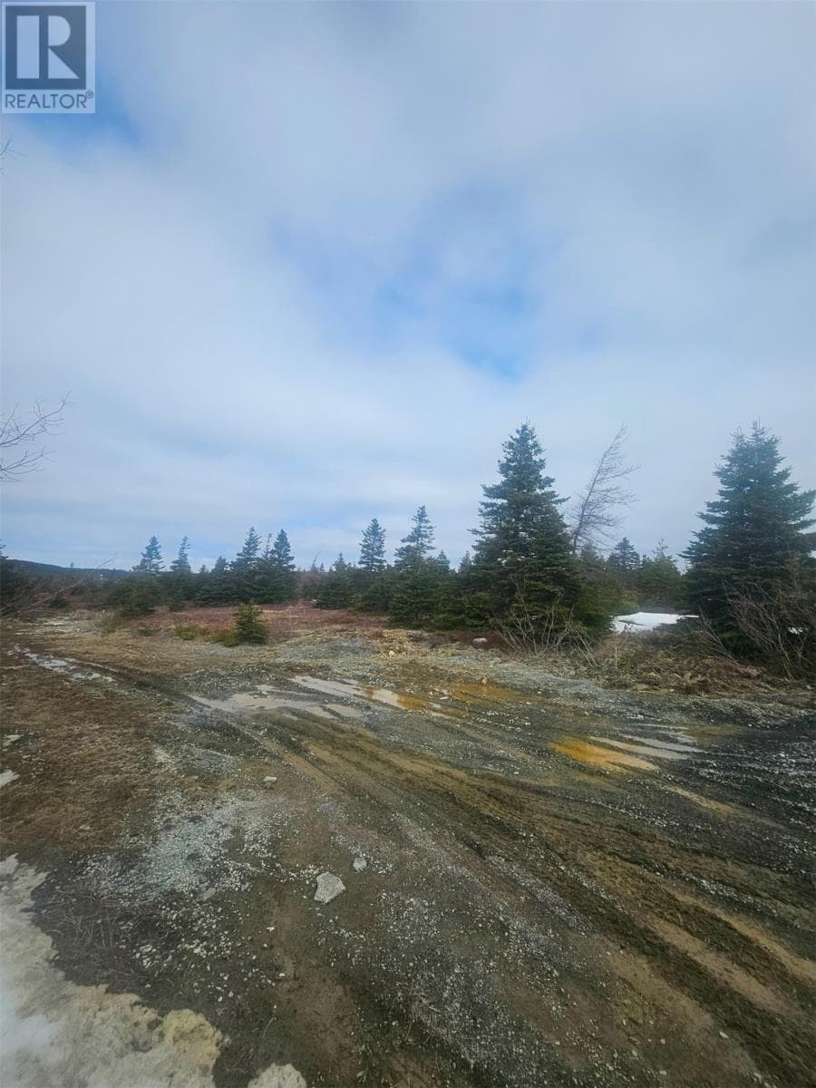 153 SEYMOURS Road photo 2