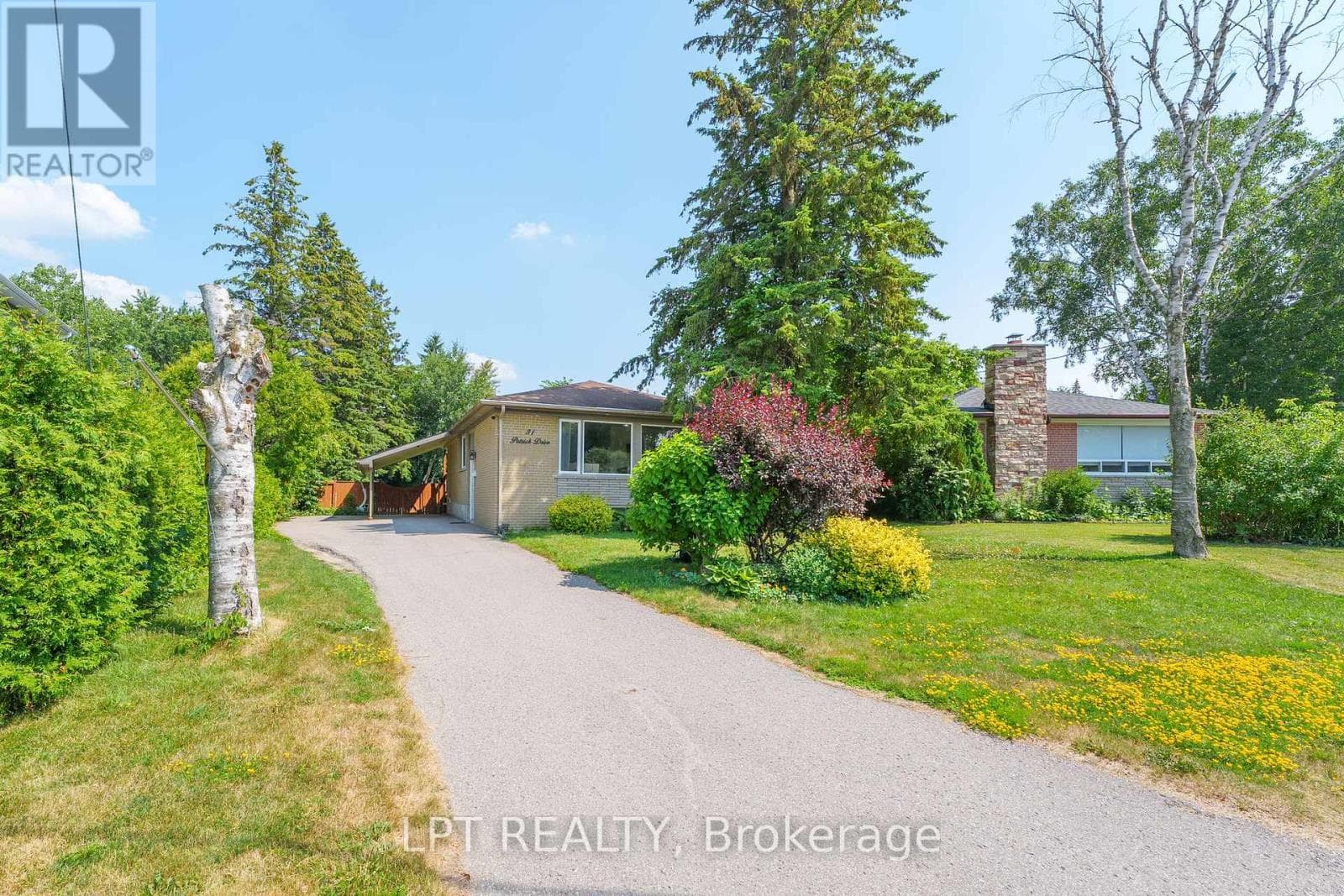 31 PATRICK DRIVE photo 4