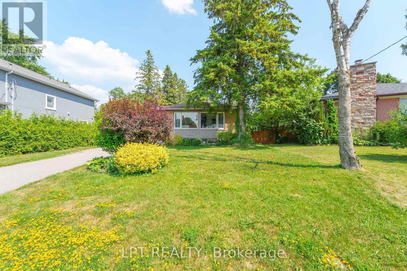 31 PATRICK DRIVE photo 5