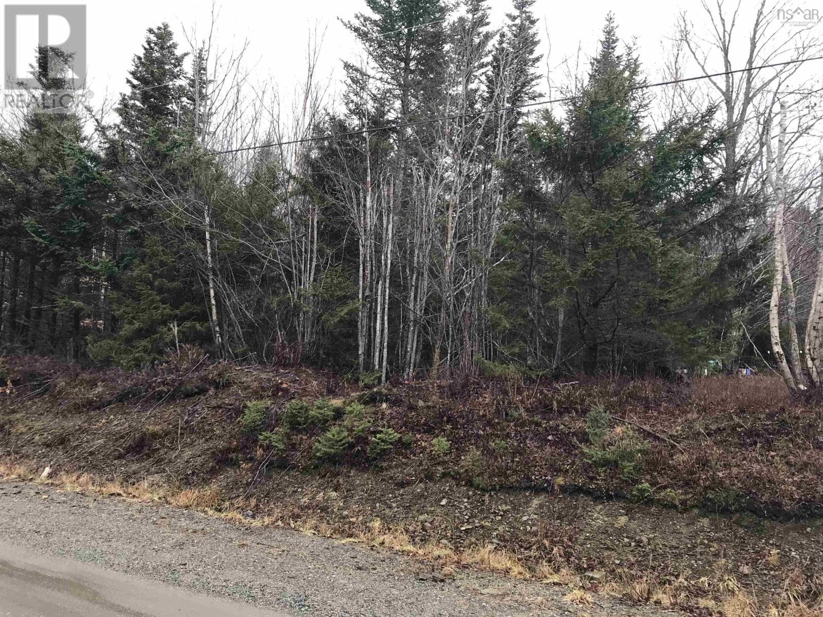 Lot Belleville Road photo 3