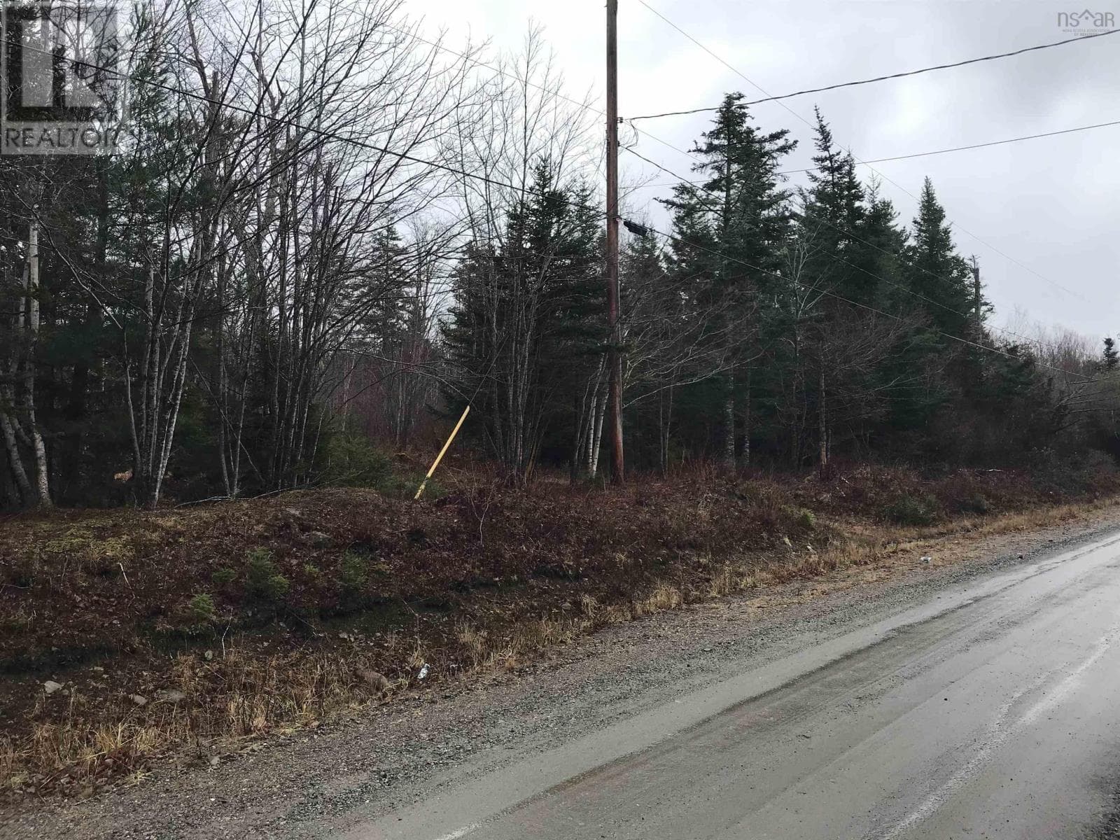 Lot Belleville Road photo 2