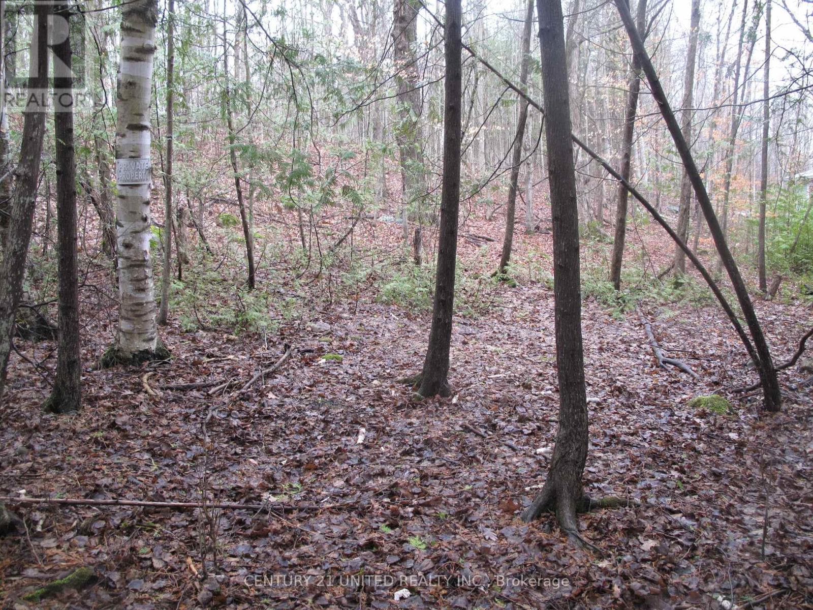 PTLT 37 TRENT VIEW DRIVE photo 4