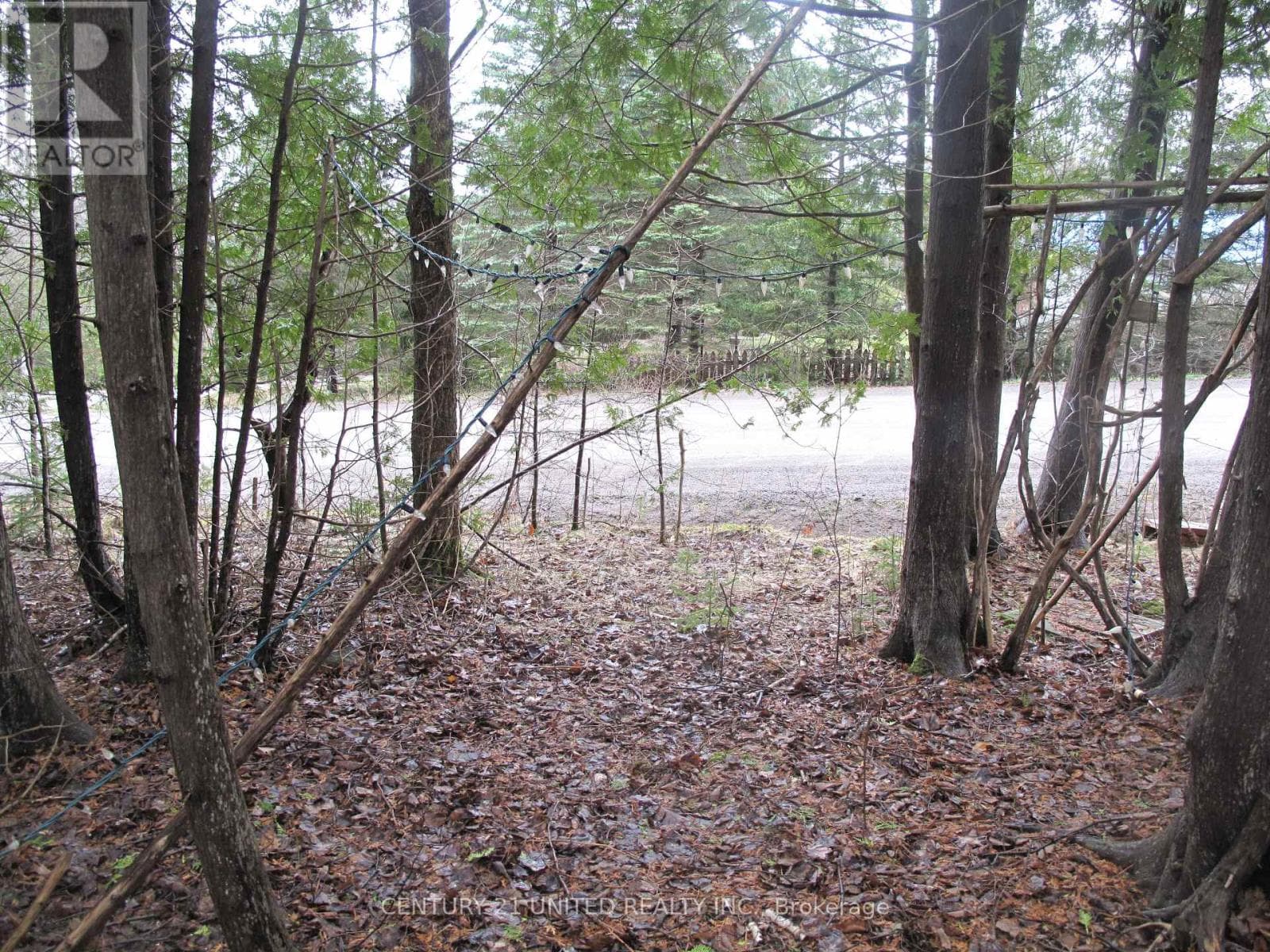 PTLT 37 TRENT VIEW DRIVE photo 3