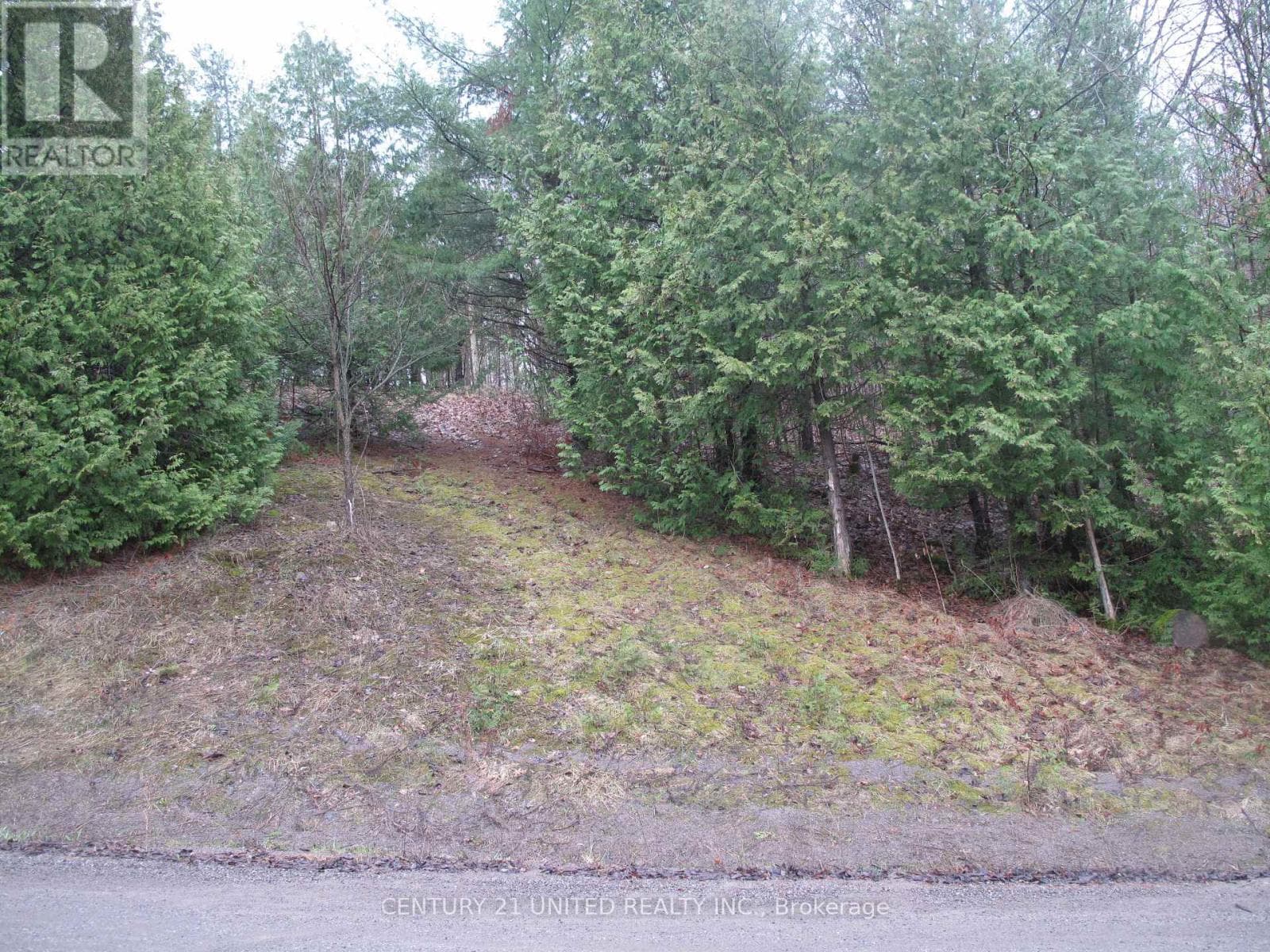 PTLT 37 TRENT VIEW DRIVE photo 2