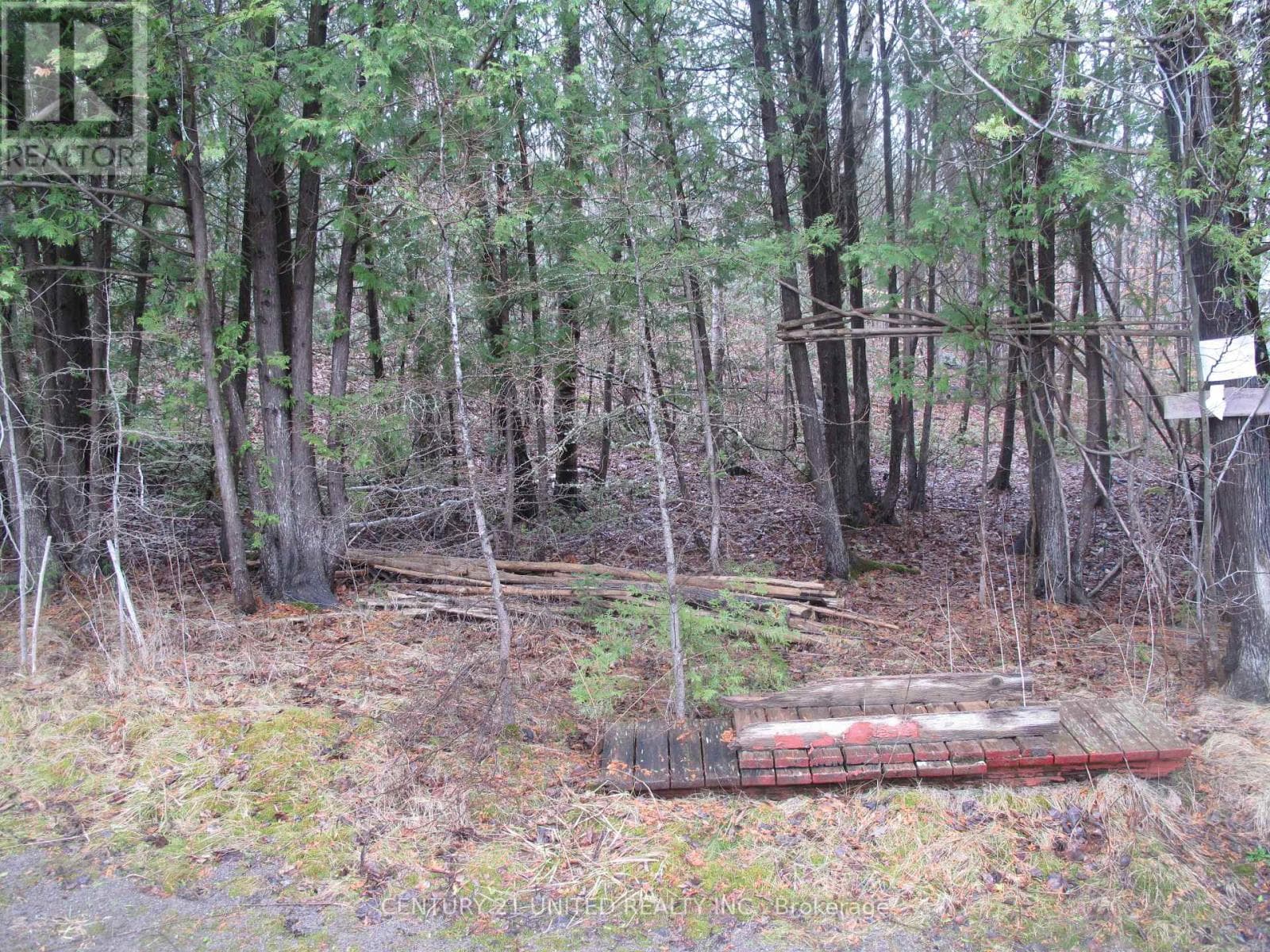 PTLT 37 TRENT VIEW DRIVE photo 5