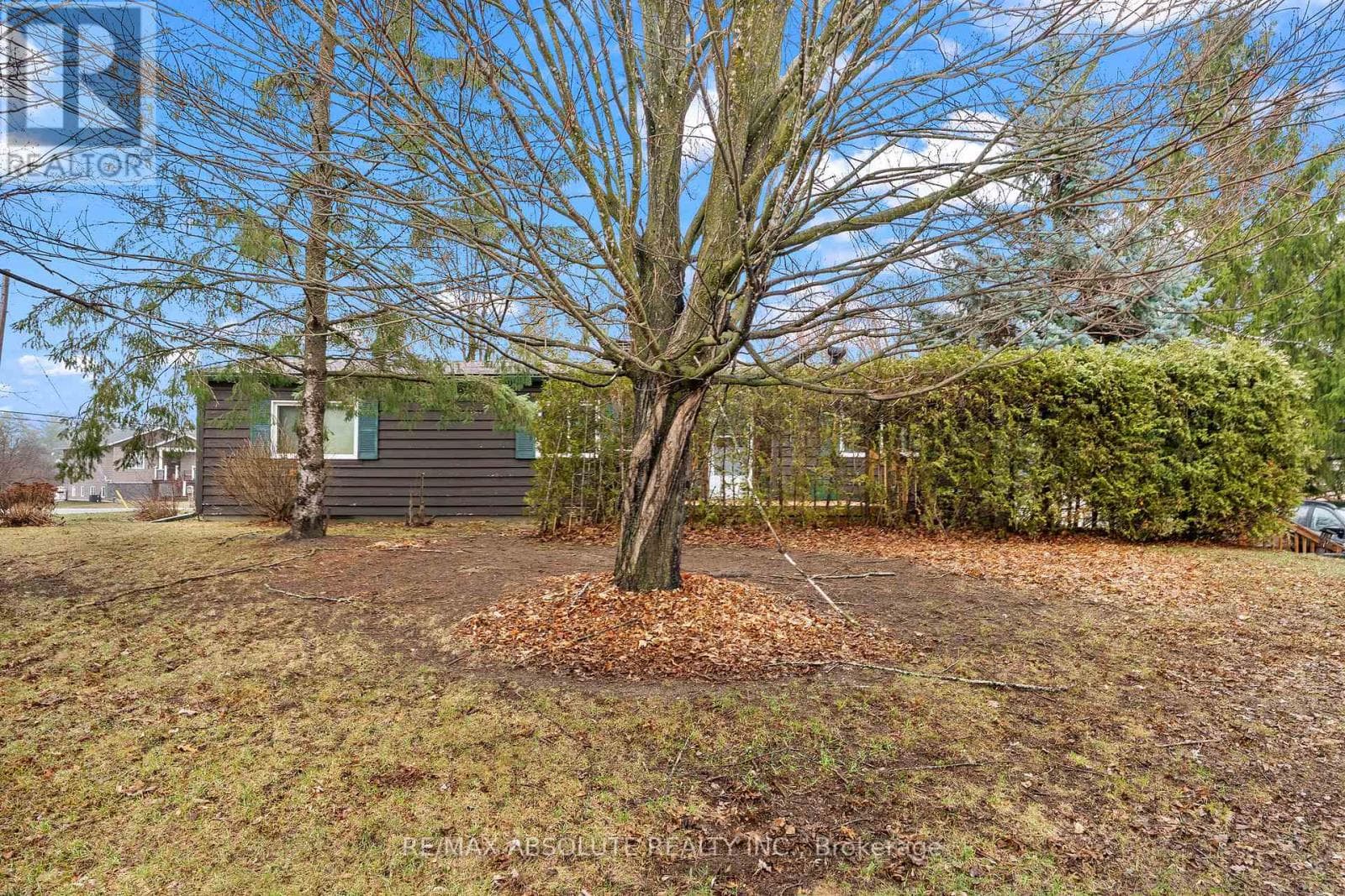 235 POOLE STREET photo 3