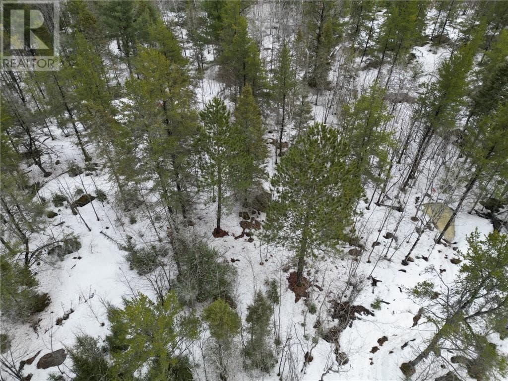 121 Nepewassi Lake Road photo 4