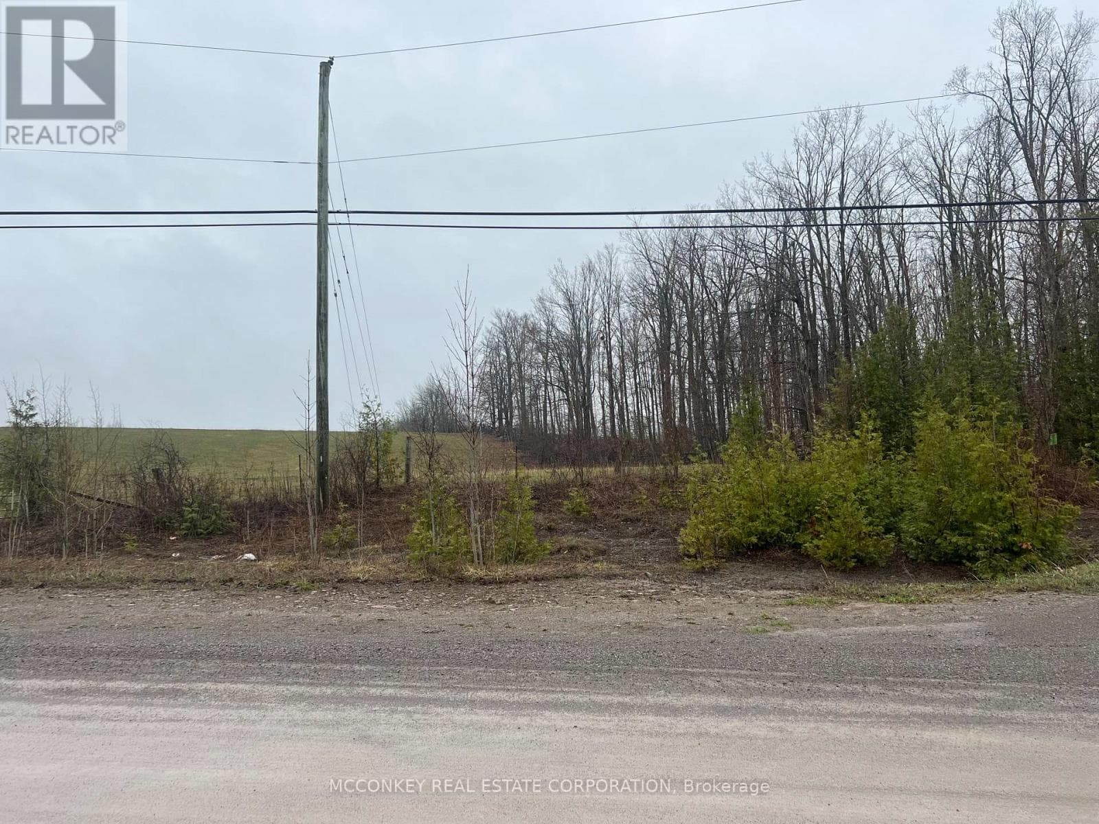 1020 CENTRE ROAD photo 3