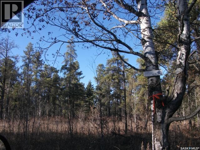 5-3 lot 1.20 Acres — photo 3