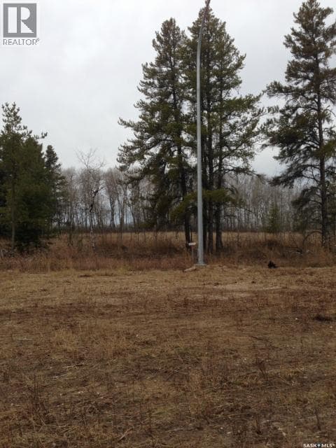 4-3 lot 1.20 acre — photo 4