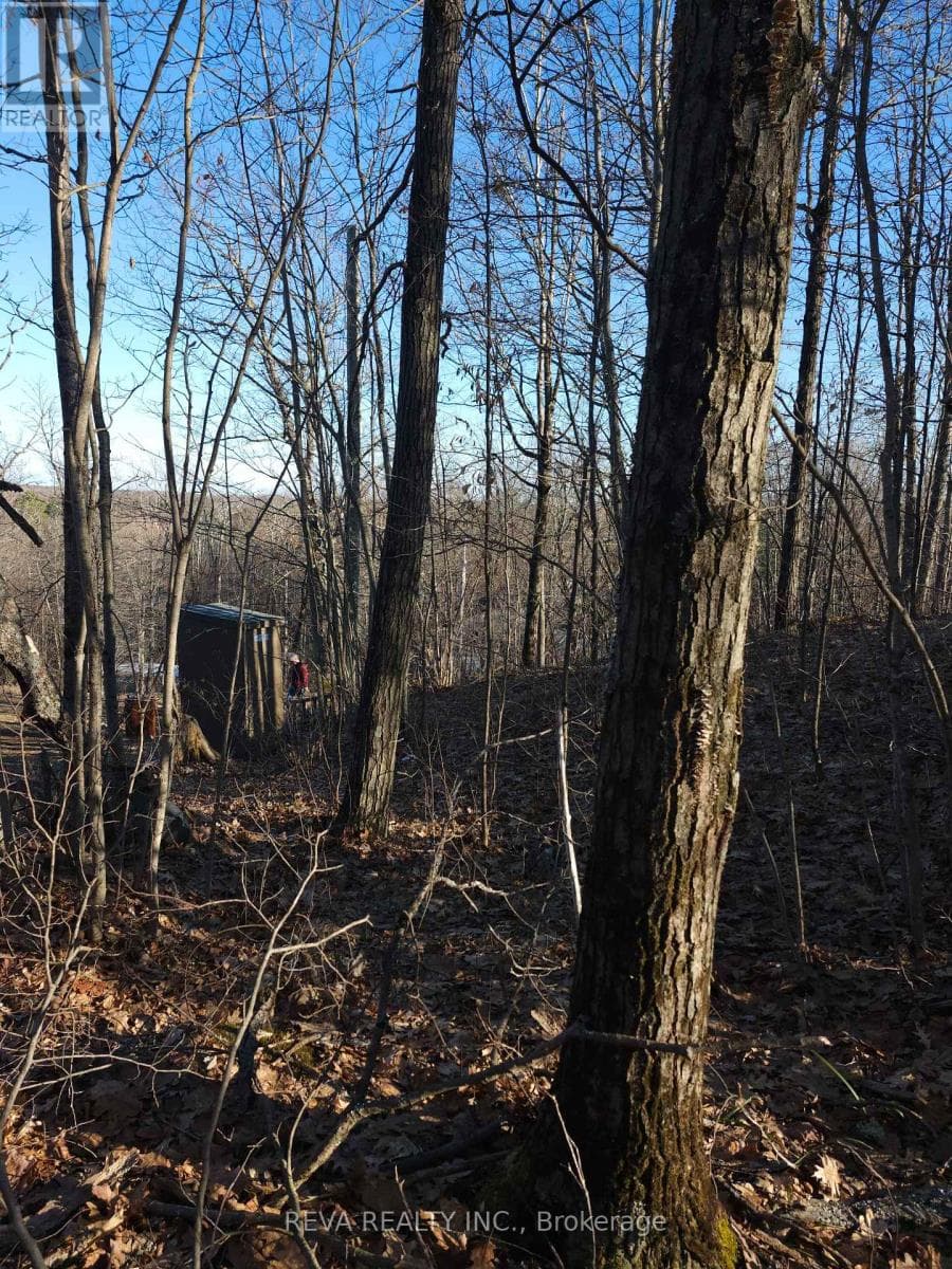 00 BAKER VALLEY ROAD photo 2