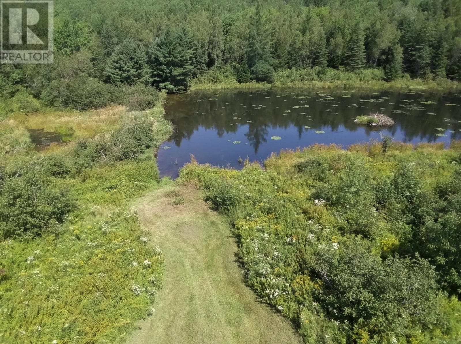 1329 Highway 321 photo 2