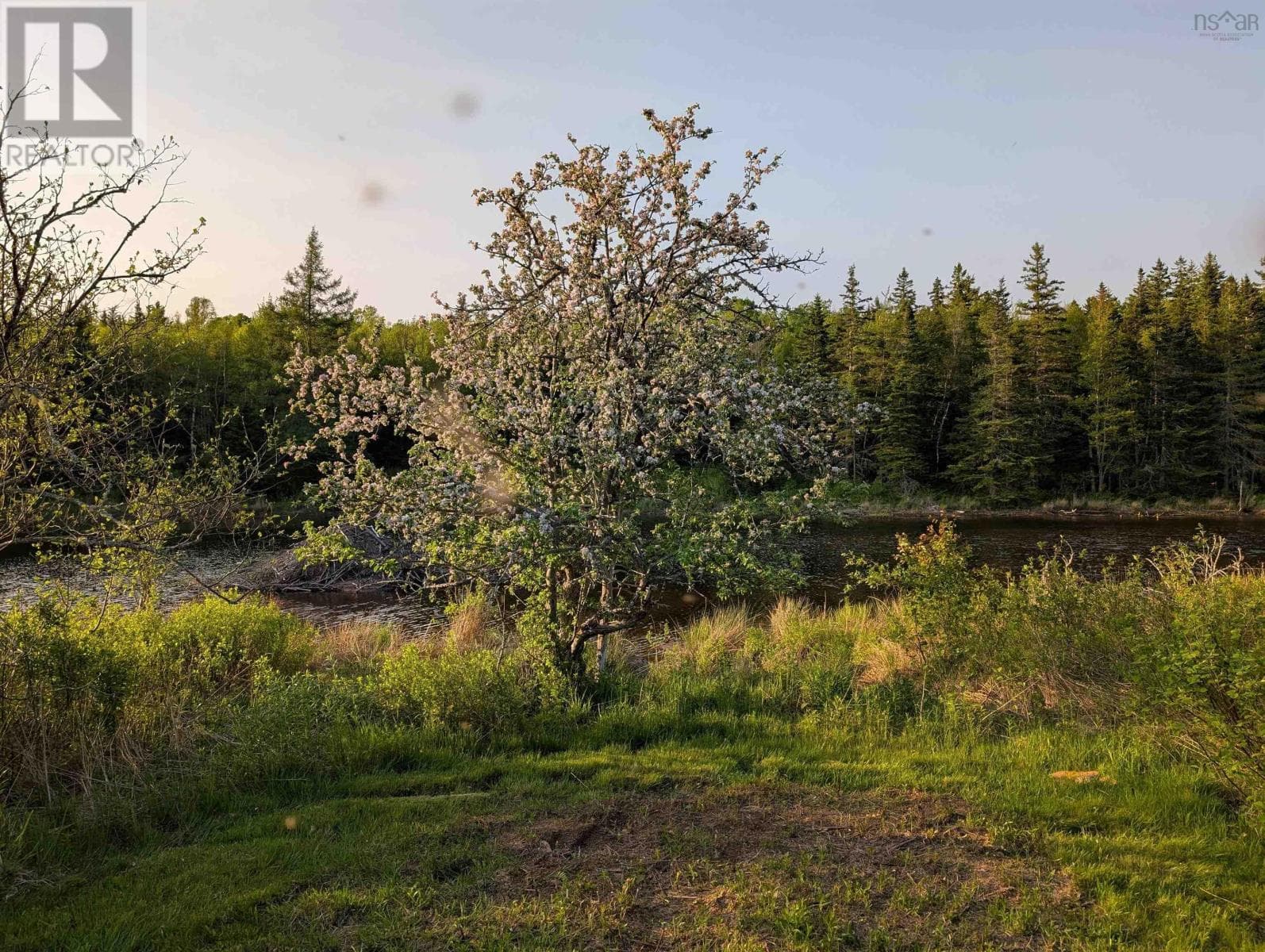 1329 Highway 321 photo 3