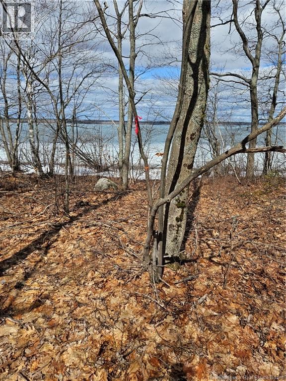 Lot Cox Point Road photo 4