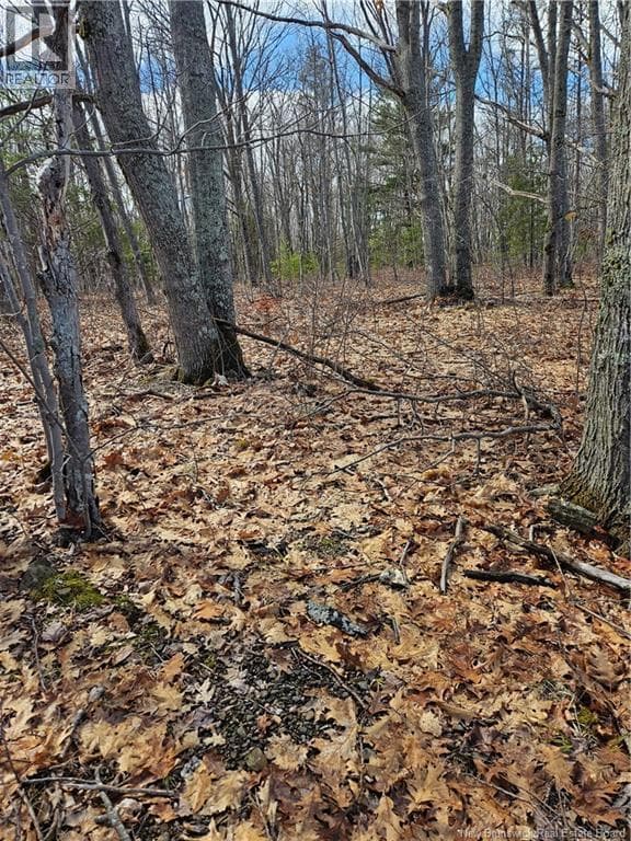 Lot Cox Point Road photo 2