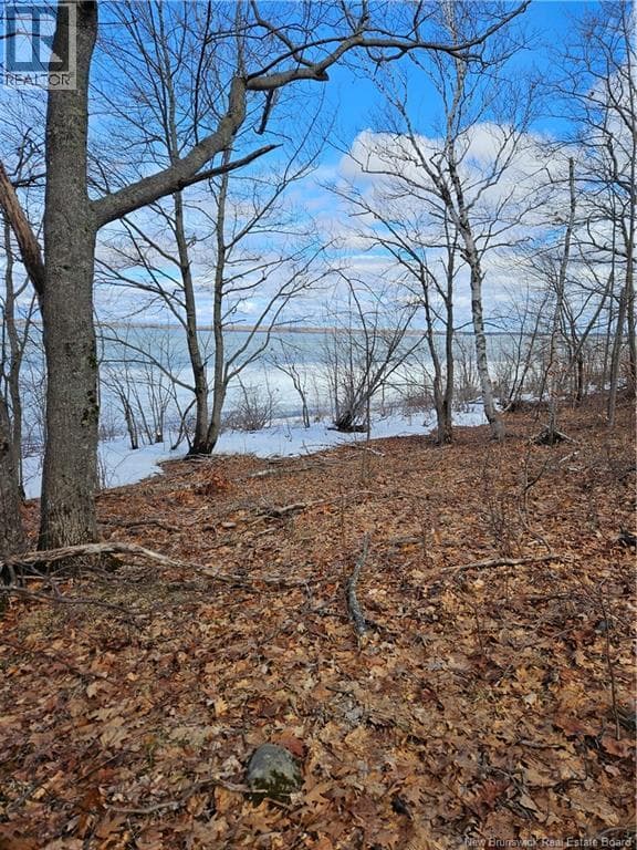 Lot Cox Point Road photo 3