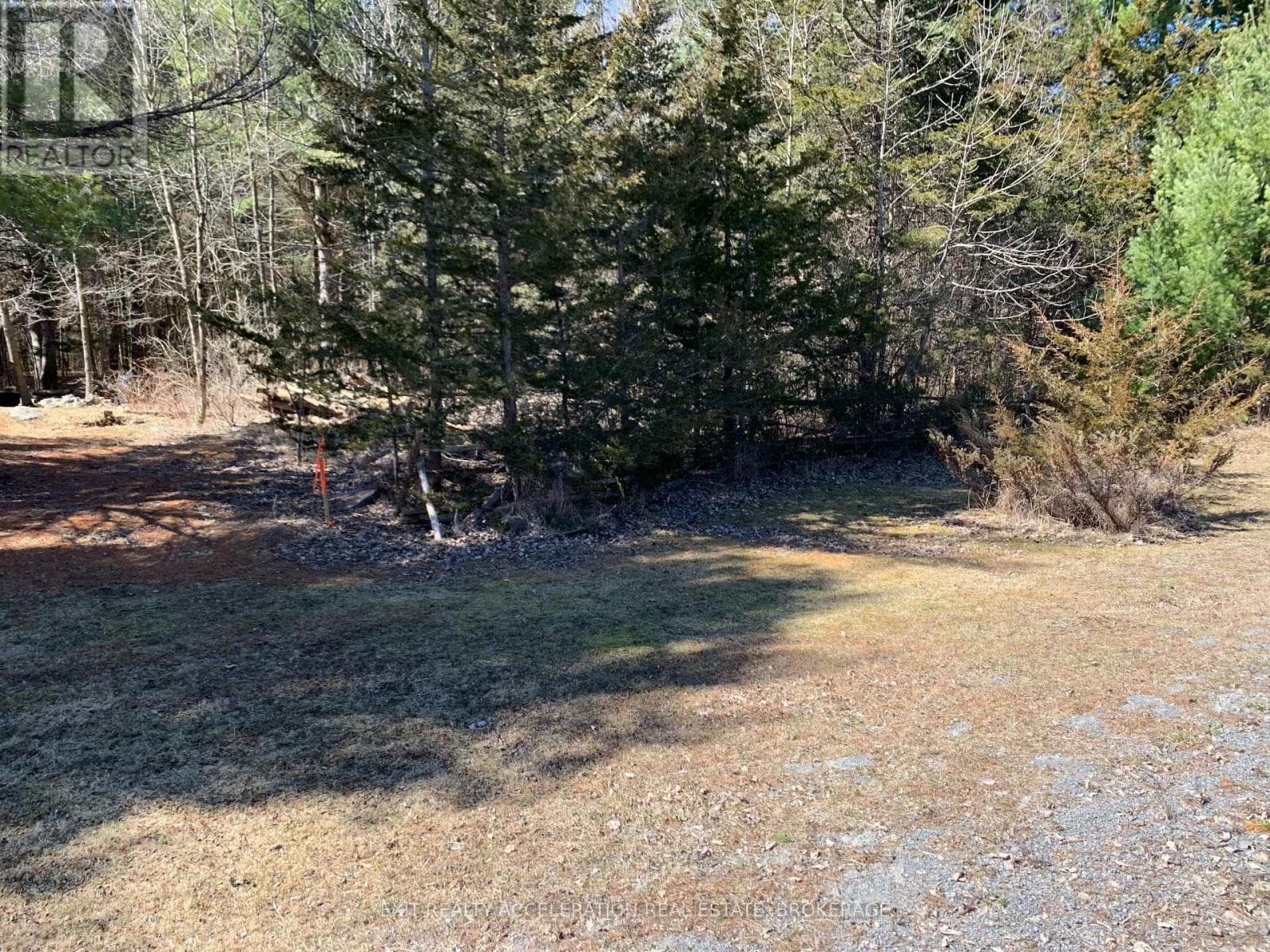 00 CON11 PINE GROVE ROAD photo 5