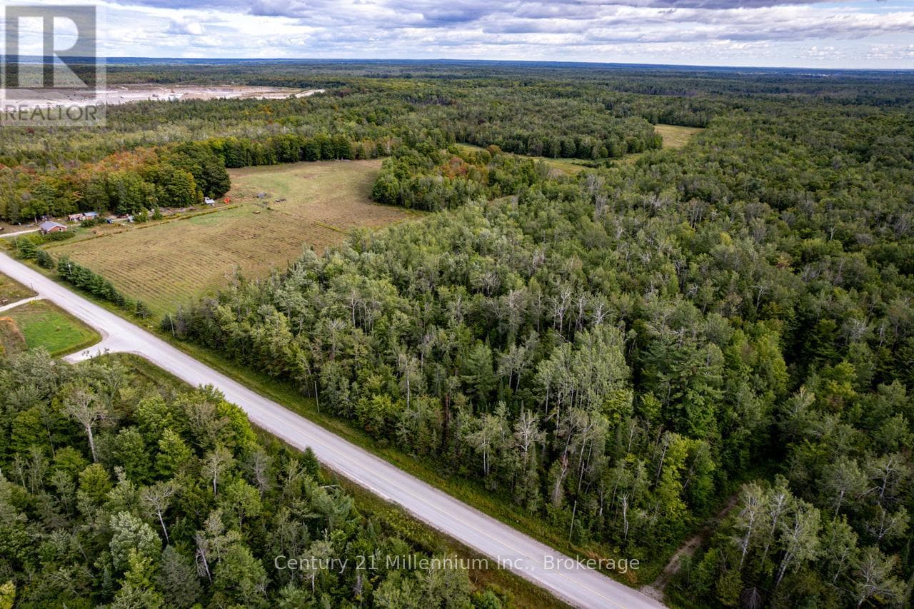 6989 CONCESSION B-C ROAD photo 5