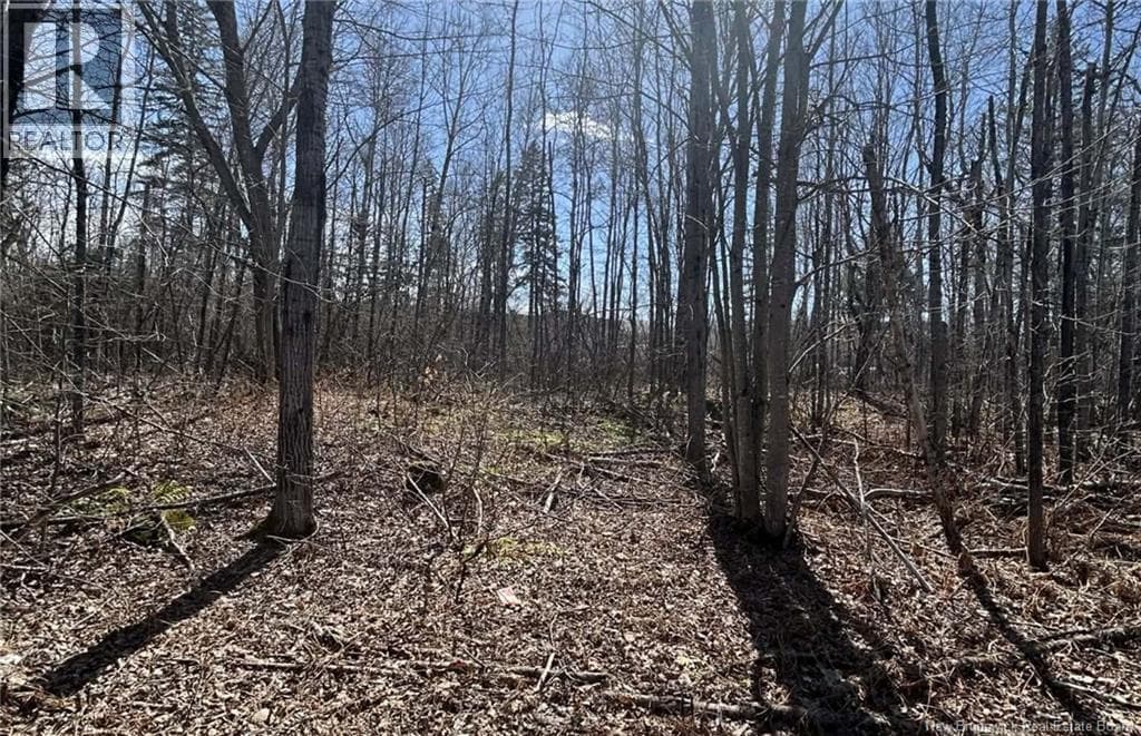 LOT Dr Hamilton Drive photo 3