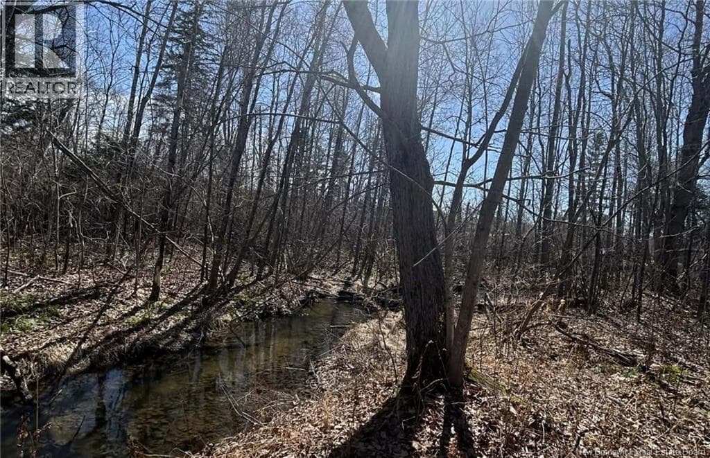 vacant land at LOT Dr Hamilton Drive — $19,900