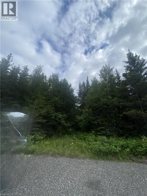 LOT 1 ON-17 TRANS CANADA Highway photo 3