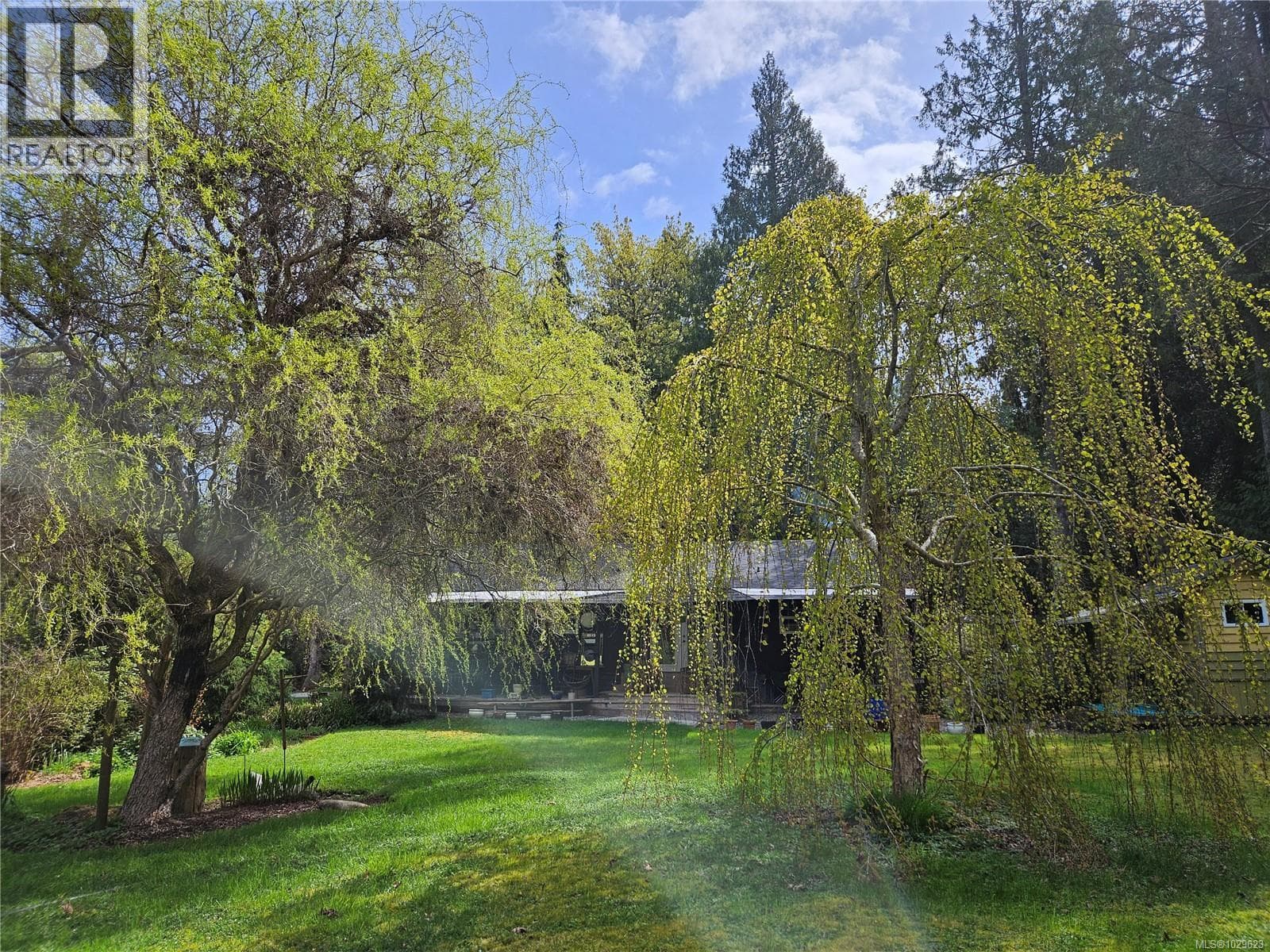 8131 Macartney Dr photo 3