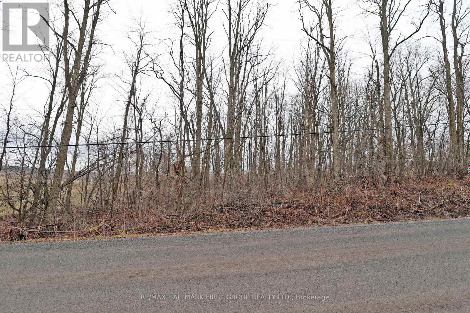 207 GOODFELLOW ROAD photo 5