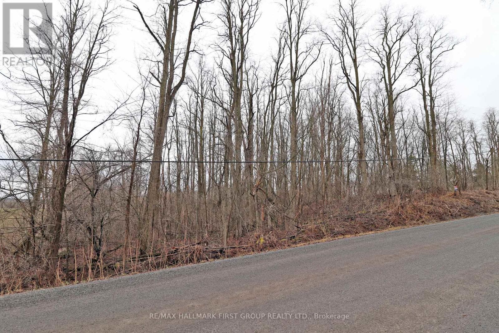 207 GOODFELLOW ROAD photo 3
