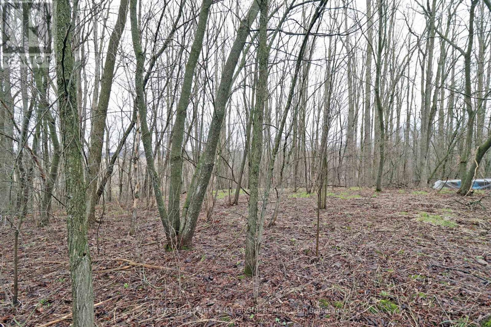 vacant land at 207 GOODFELLOW ROAD — $89,900