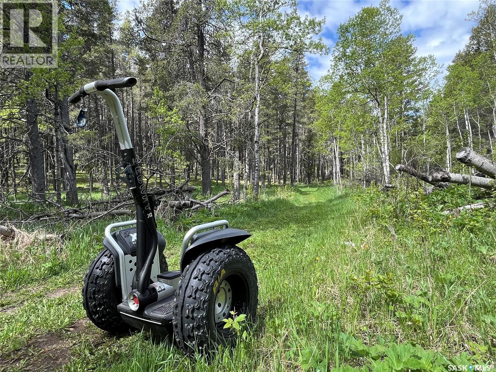 Cypress Hills Segway Tours — photo 2