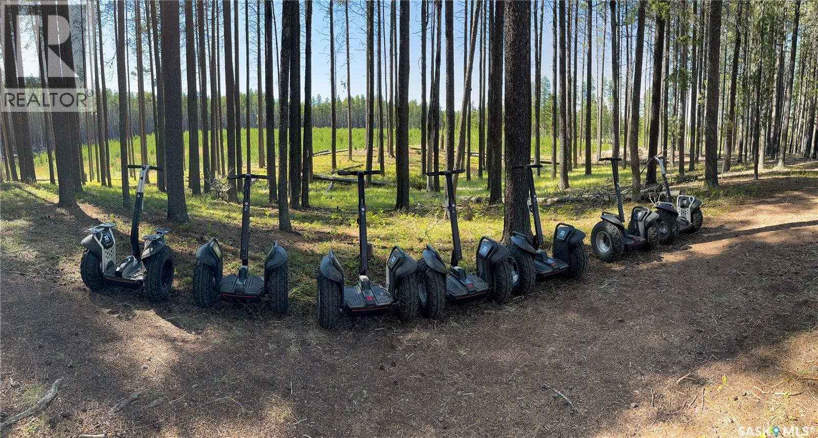 Cypress Hills Segway Tours — photo 3