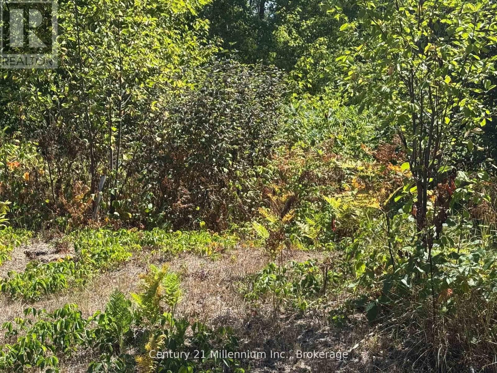 vacant land at 931 RIVER ROAD E — $489,000