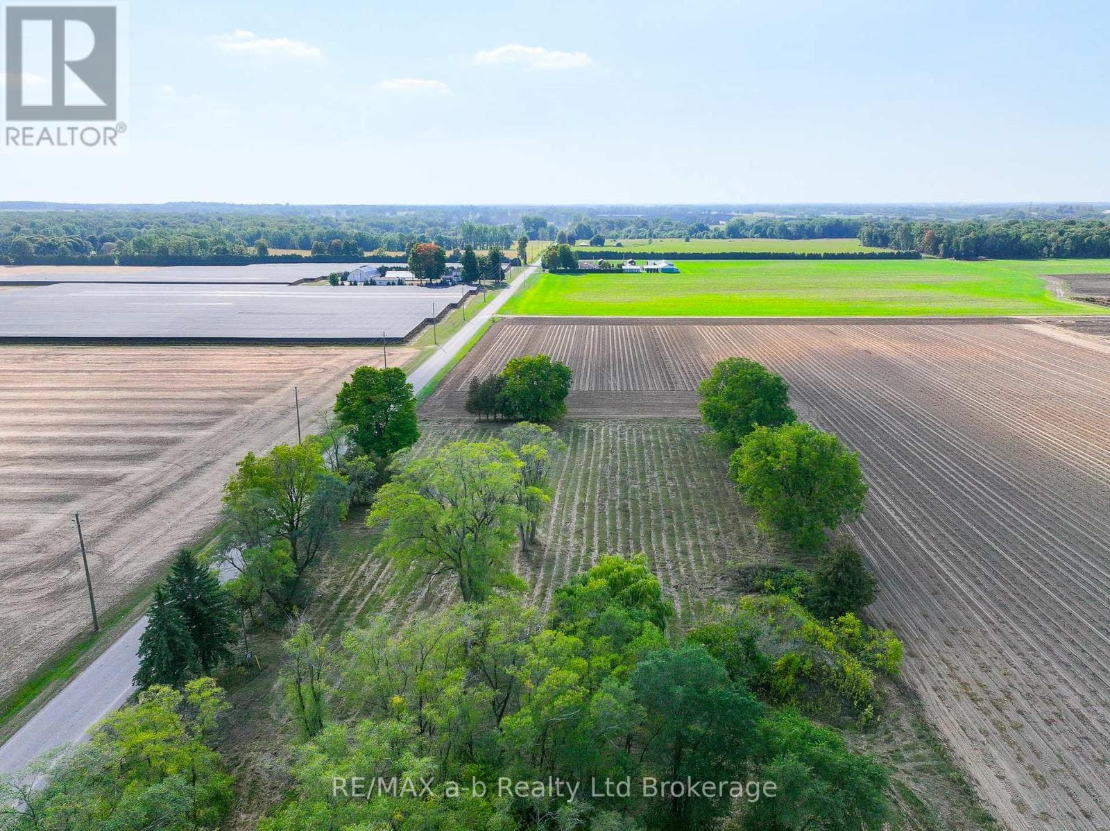 188 12TH CONCESSION ROAD photo 5