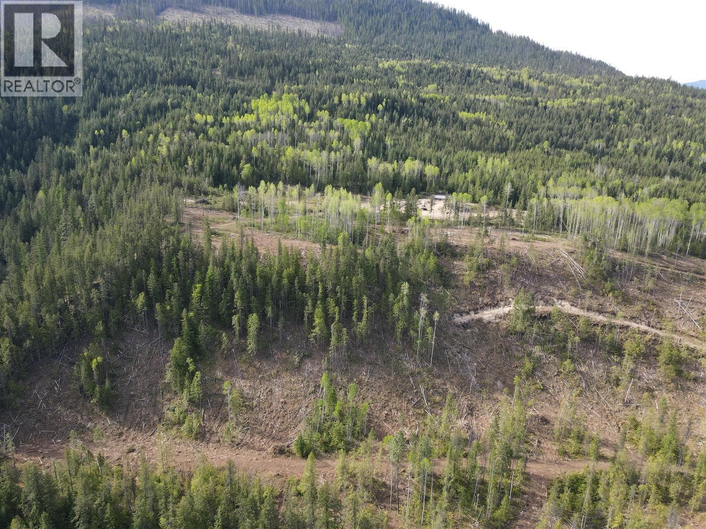 7928 Lemon Creek Road photo 4