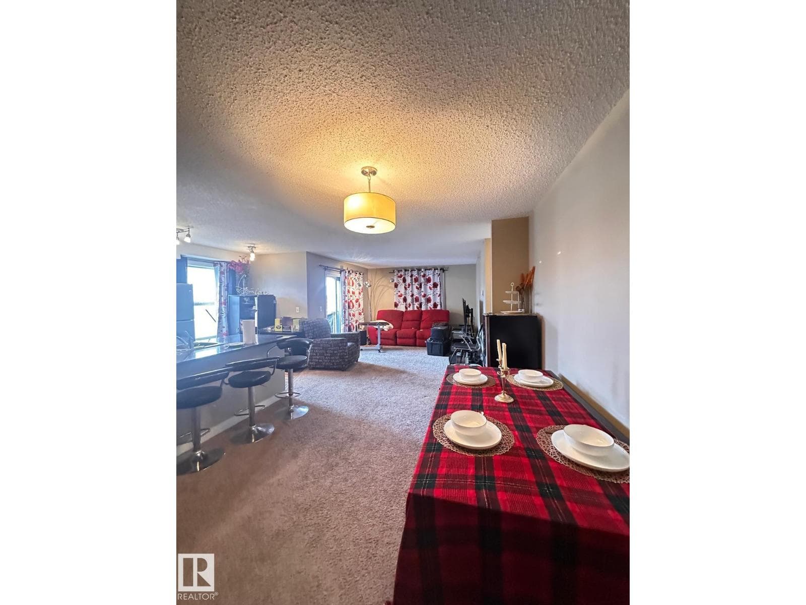 #419 11808 22 AV SW SW photo 5