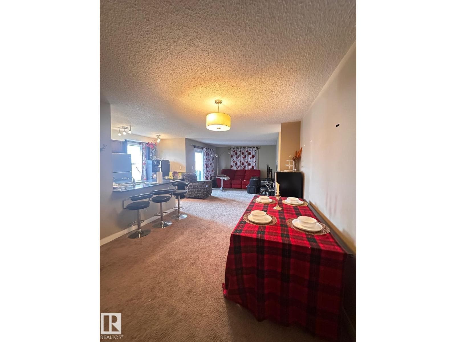 #419 11808 22 AV SW SW photo 4