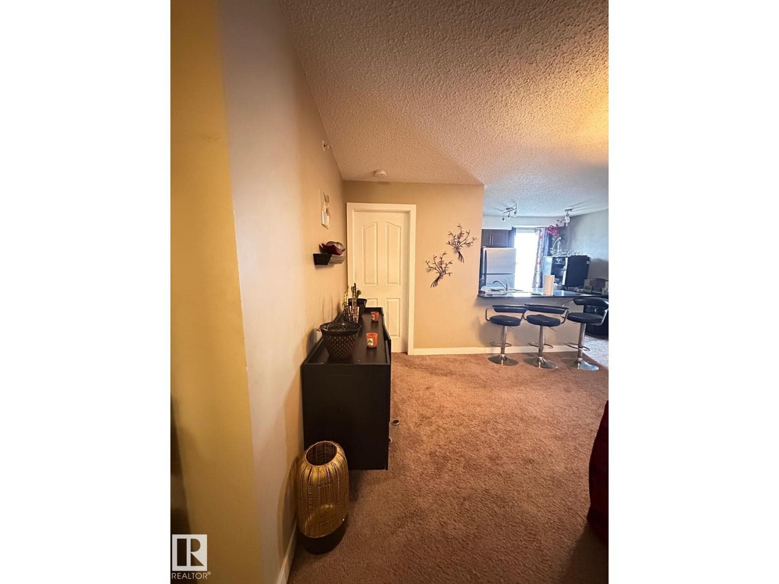#419 11808 22 AV SW SW photo 3