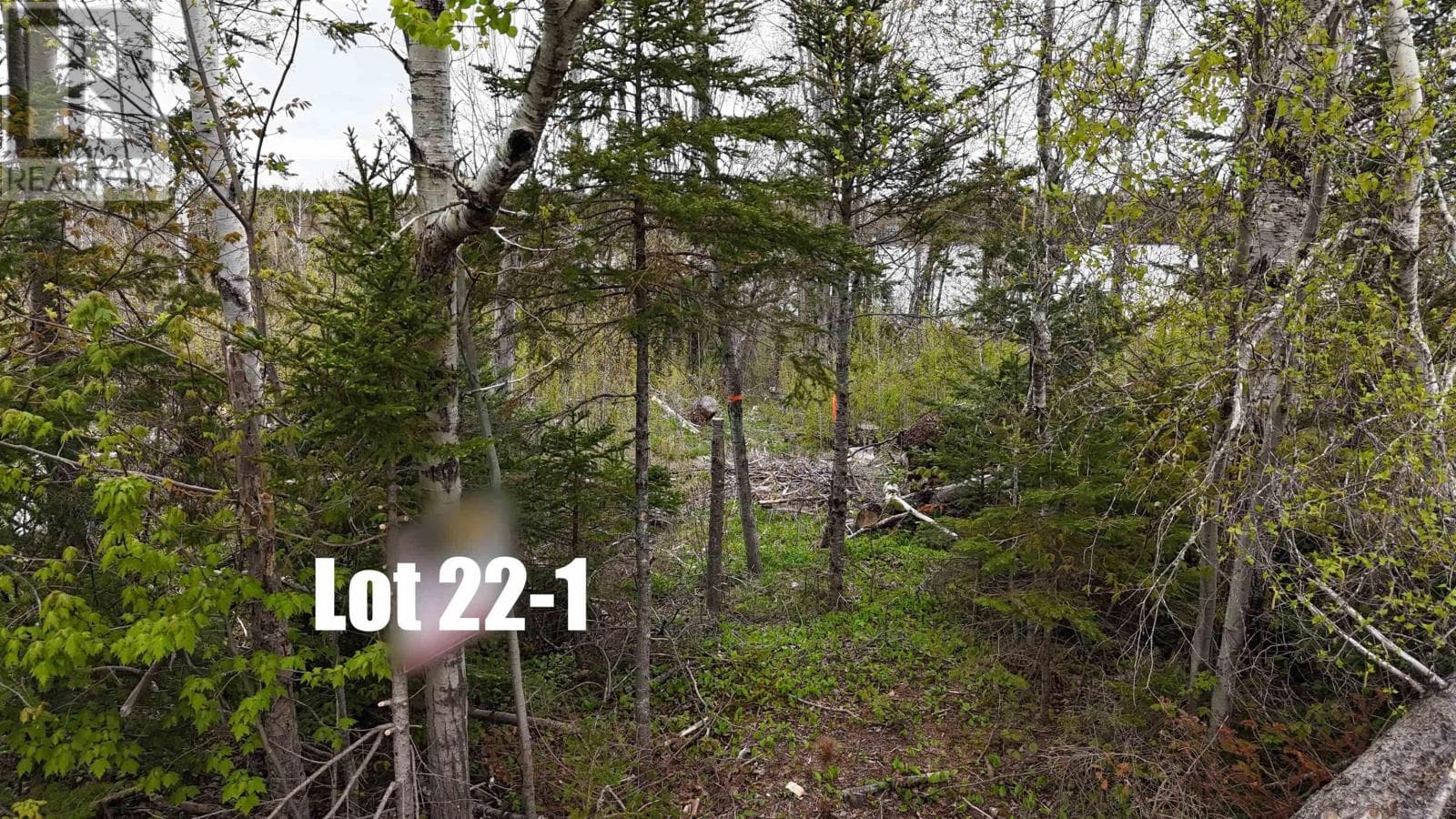 Lot 22-1 Lake Road photo 3