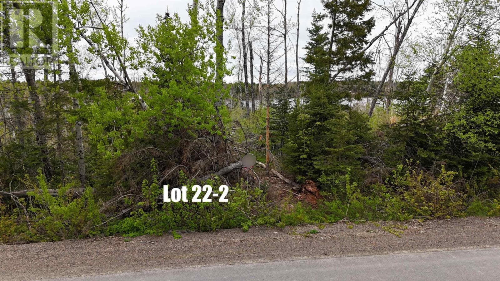 Lot 22-2 Lake Road photo 3