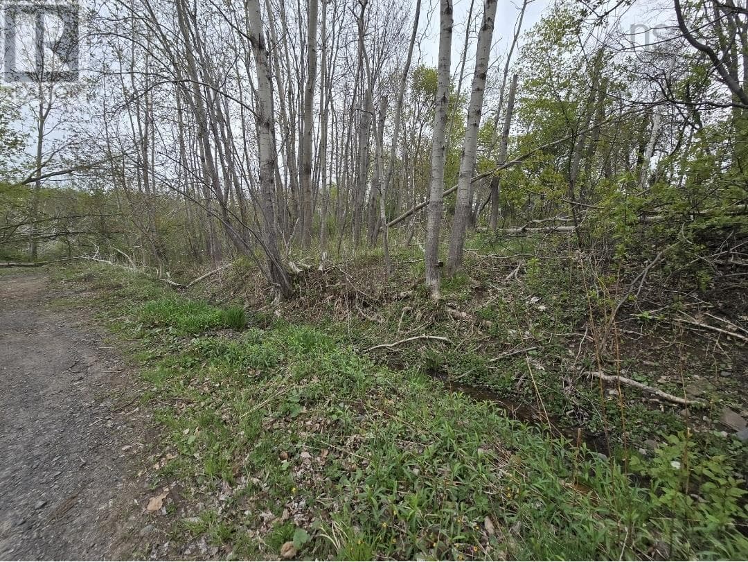 Double Lot 2 Brook Street photo 3