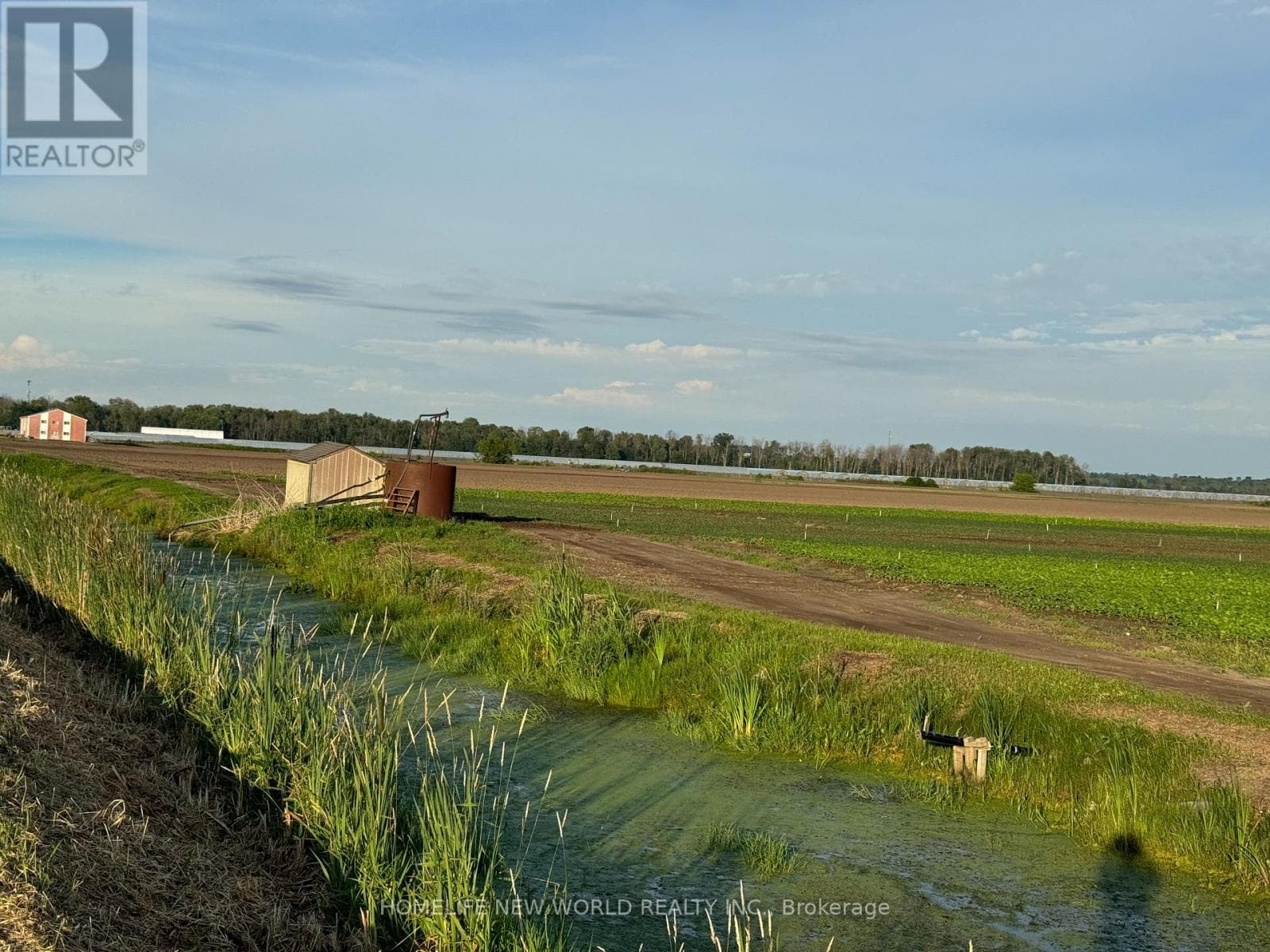 571 RAVENSHOE ROAD photo 2