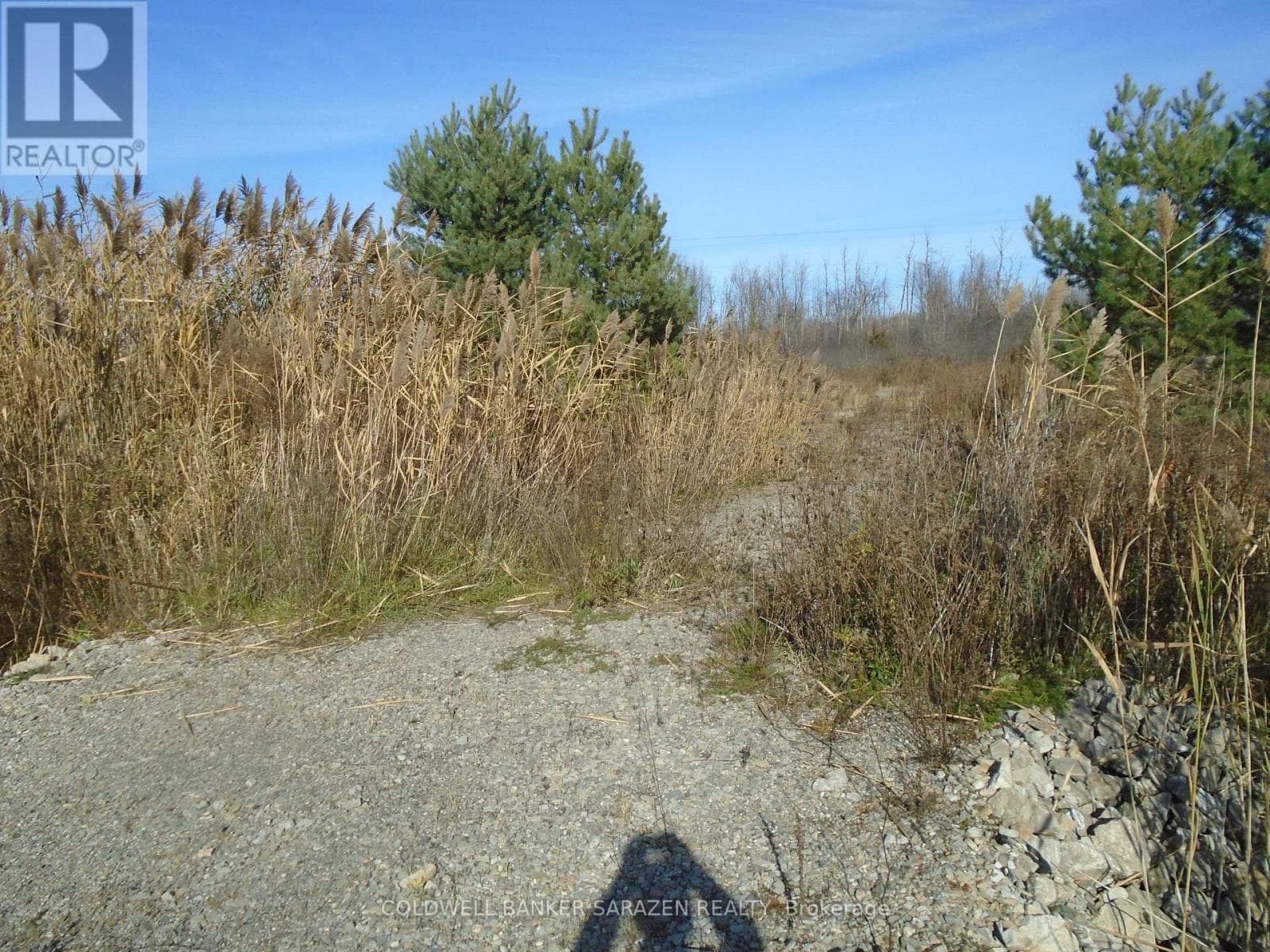 49 RIDEAU AVENUE photo 2