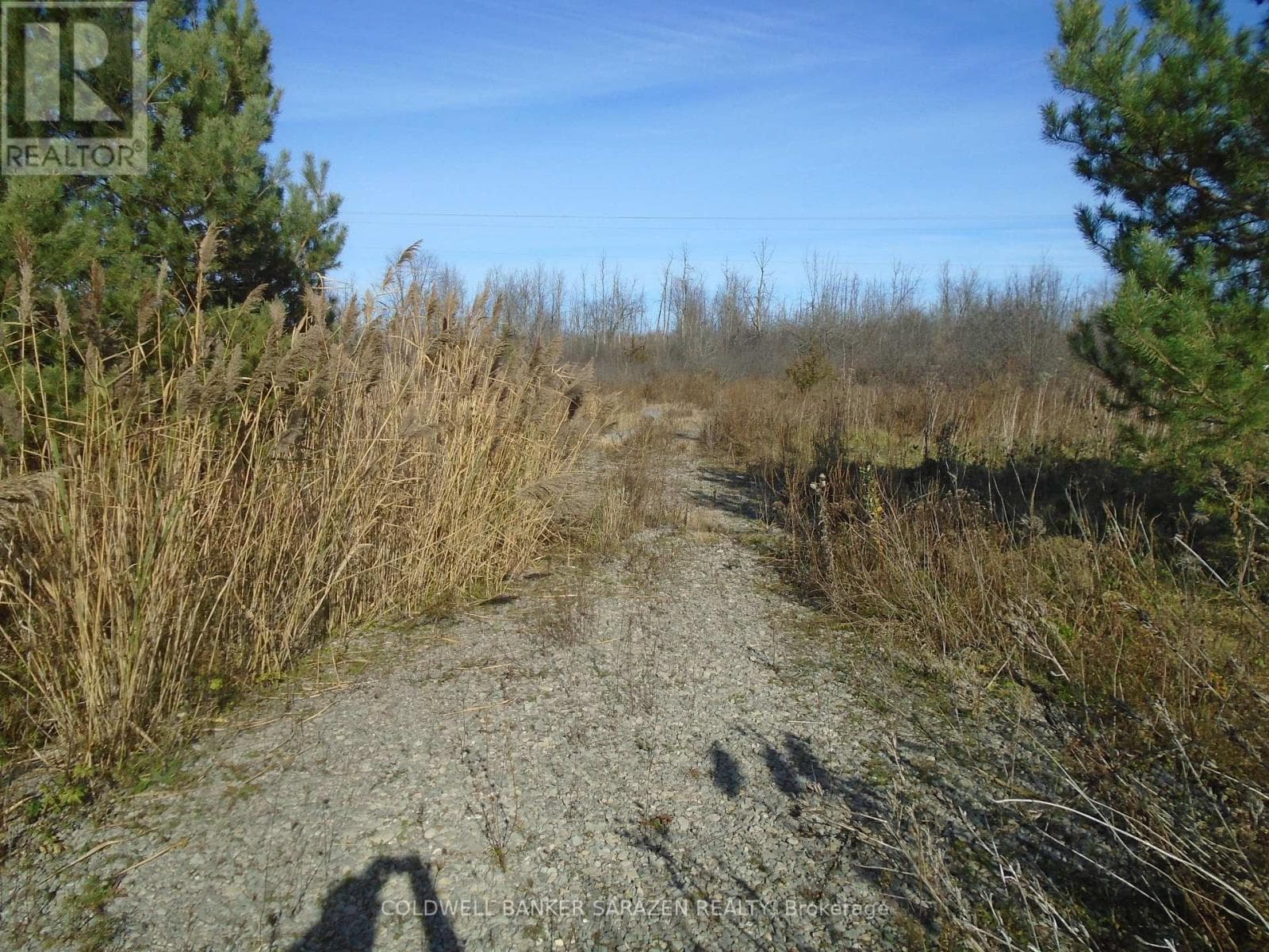 49 RIDEAU AVENUE photo 3