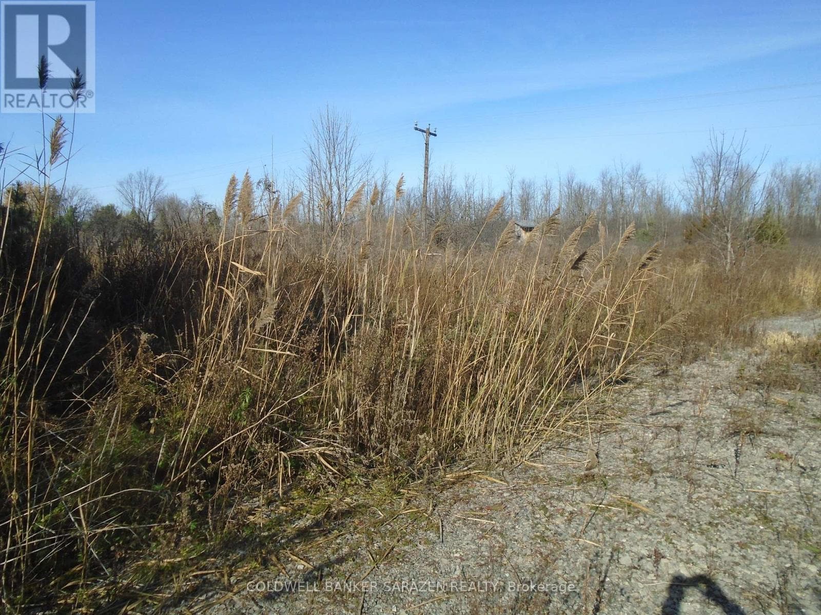 49 RIDEAU AVENUE photo 4
