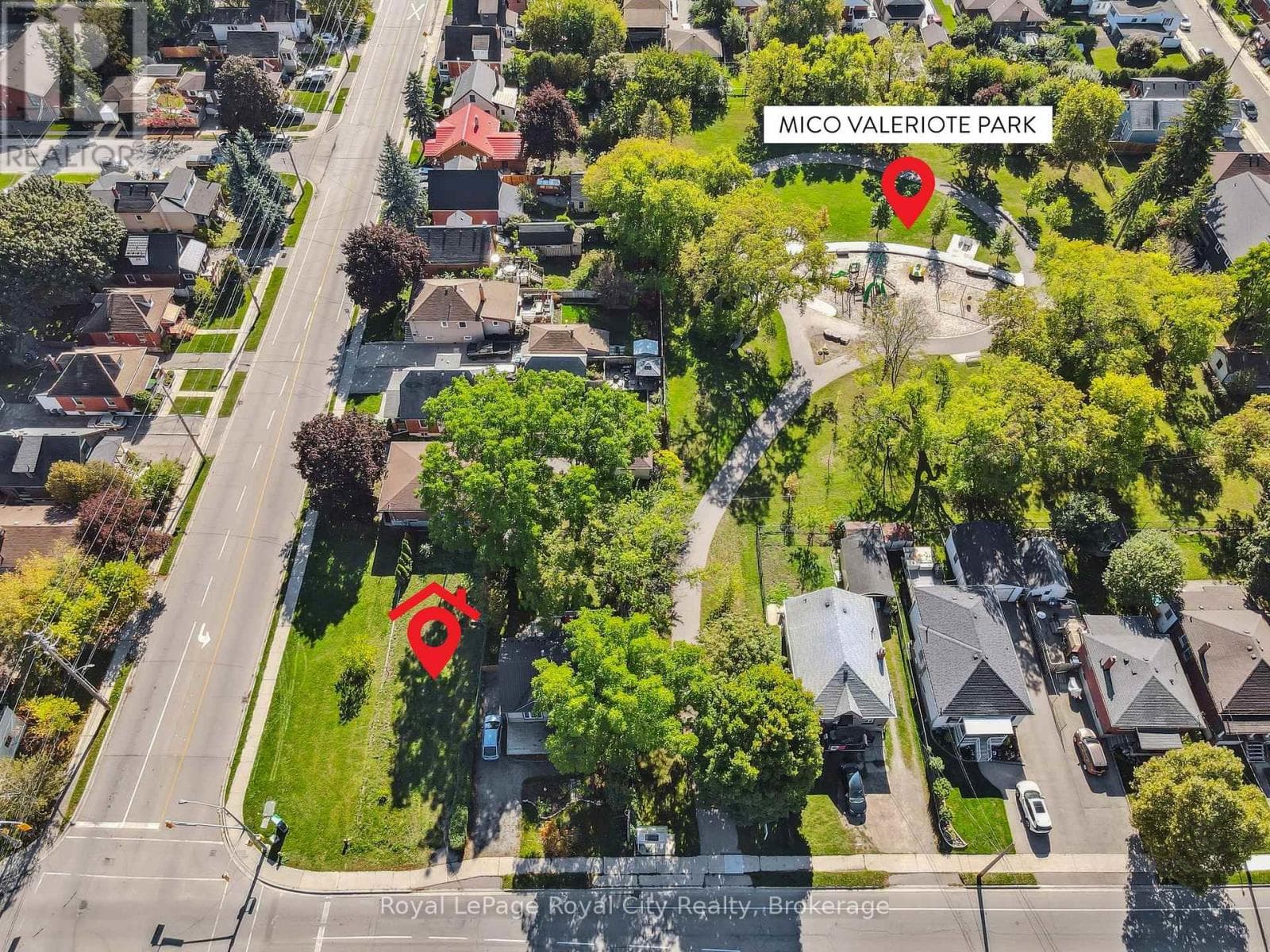 239 ELIZABETH STREET photo 5