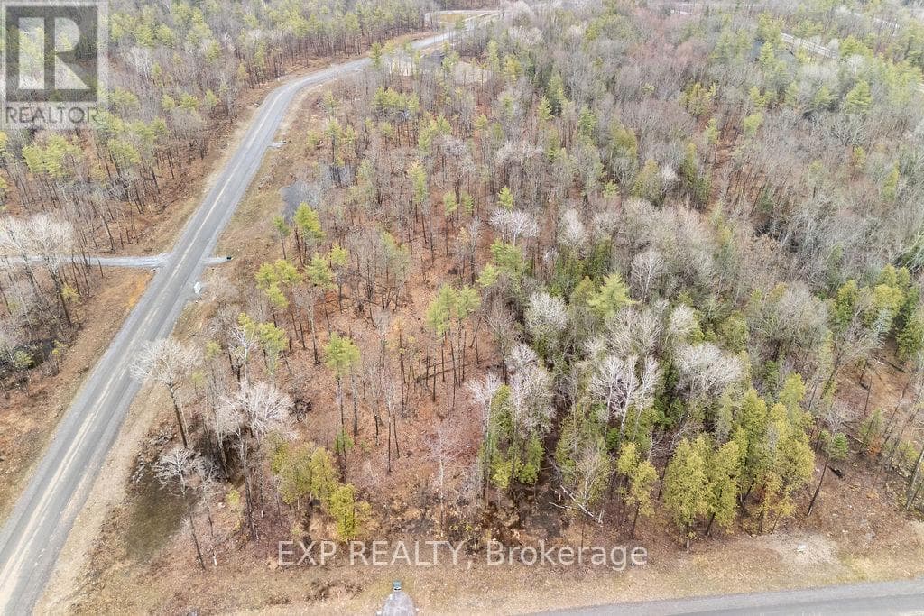 00 BLACK SPRUCE COURT photo 2