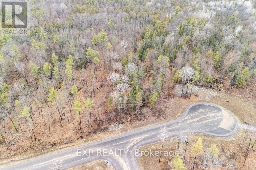 01 BLACK SPRUCE COURT photo 4