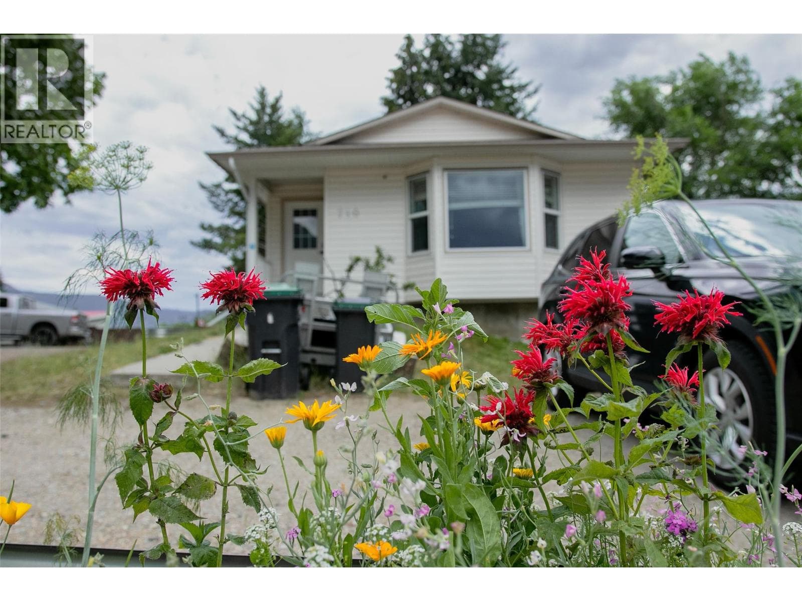 710 Ivy Street photo 2